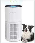 Air Purifier for Home Large Room H14 True HEPA 3-in-1 Filter Air