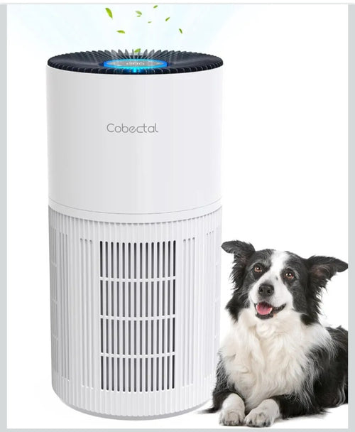 Air Purifier for Home Large Room H14 True HEPA 3-in-1 Filter Air