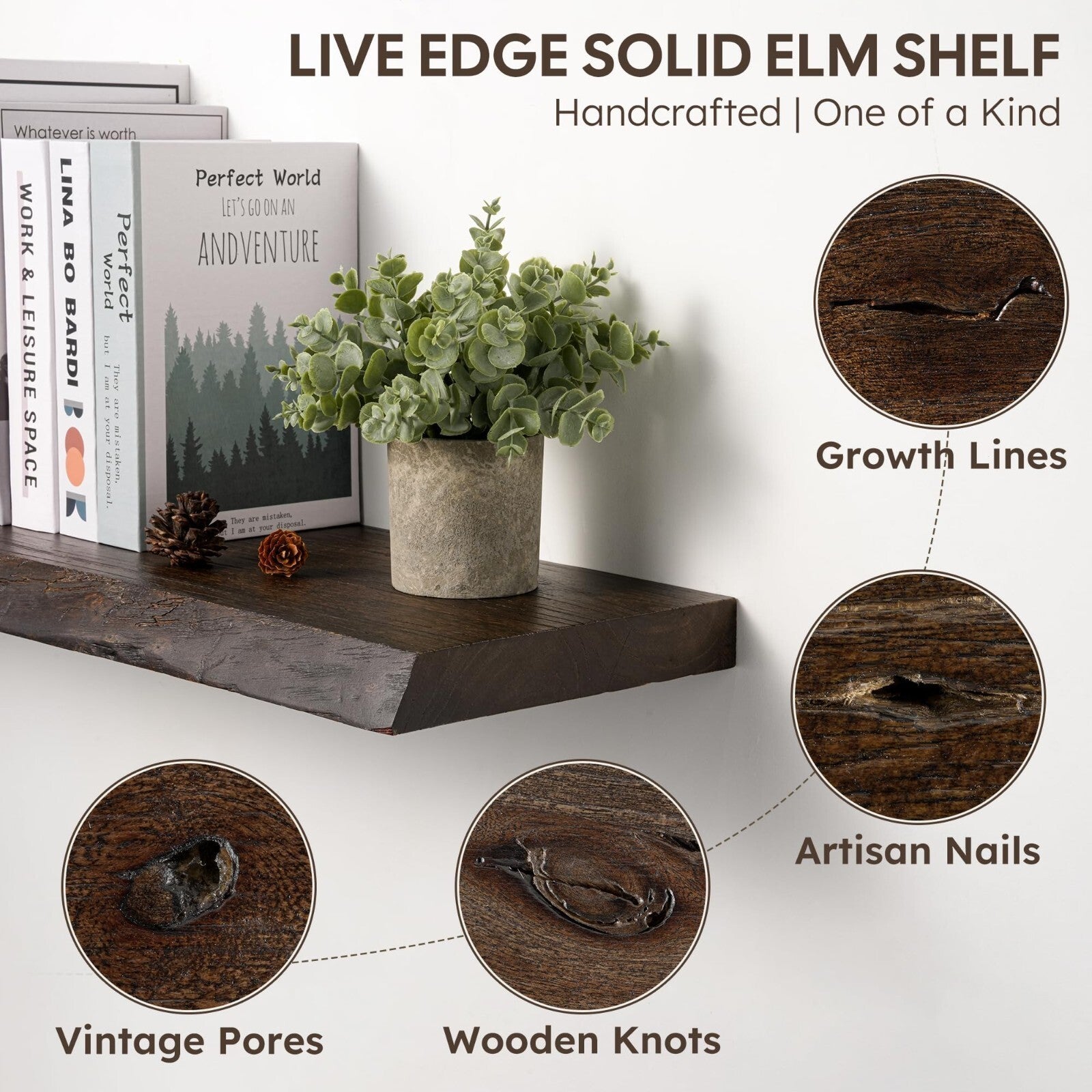 Realgulf 48" Rustic Elm Floating Shelf Solid Wood Live Edge Invisible